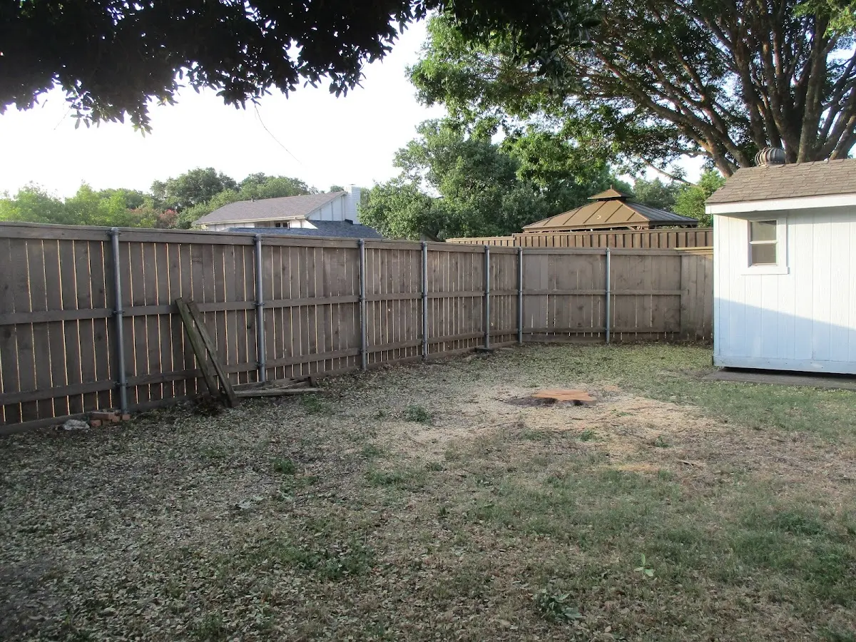 Cleared yard after professional tree removal in Duluth