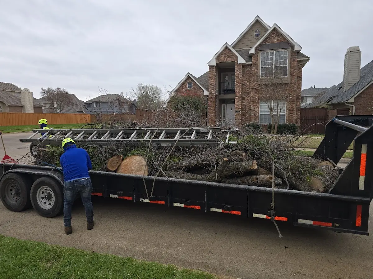 Expert Tree Pest Control with proper safety equipment in Duluth